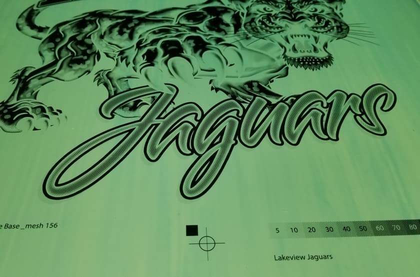 Jaguars detailed logo on screen