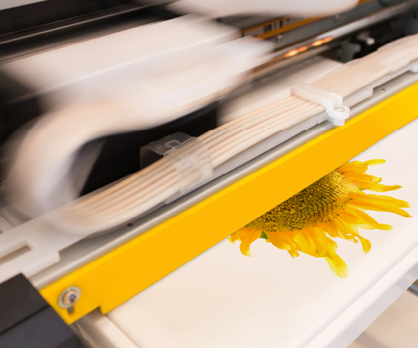sunflower being printed onto a a shirt